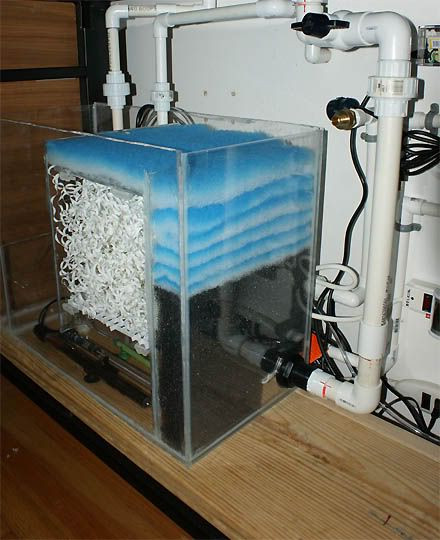 Best ideas about DIY Aquarium Sump
. Save or Pin Side view of sump setup Acquarium Projects Now.