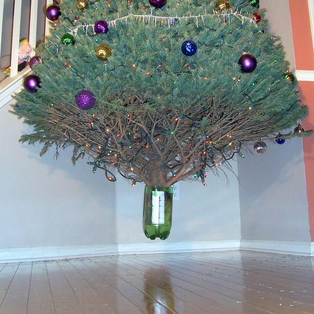 Best ideas about DIY Artificial Tree Stand
. Save or Pin Anti Gravity Tree Stand Now.