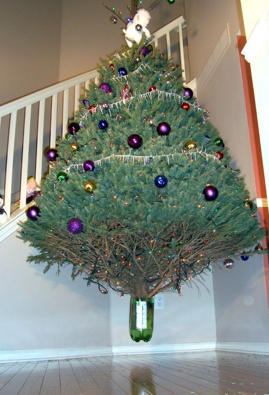 Best ideas about DIY Artificial Tree Stand
. Save or Pin Anti Gravity Tree Stand Now.