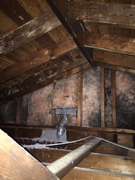 Best ideas about DIY Attic Insulation
. Save or Pin Insulating Walls Next To Garage Attic Insulation DIY Now.