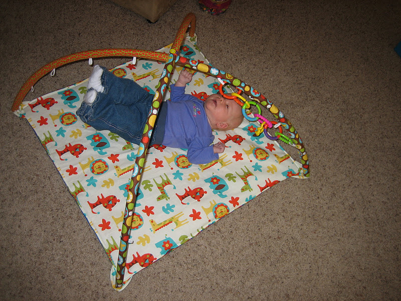 Best ideas about DIY Baby Play Mat
. Save or Pin Life Is Just a Bowl of Cherrys DIY Baby Playmat Now.