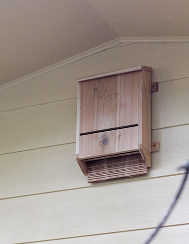 Best ideas about DIY Bat Houses
. Save or Pin 37 Free DIY Bat House Plans that Will Attract the Natural Now.