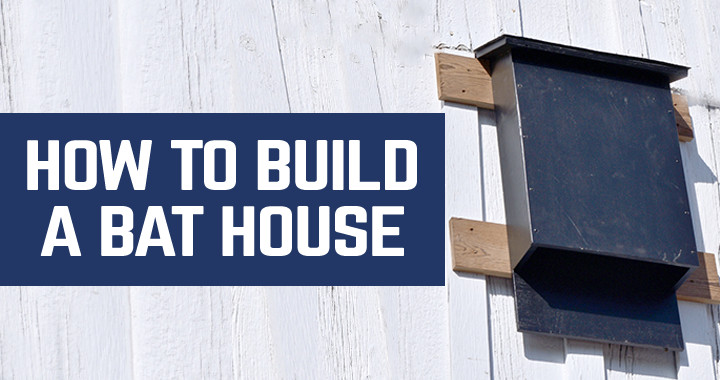 Best ideas about DIY Bat Houses
. Save or Pin How to Build a Bat House Now.