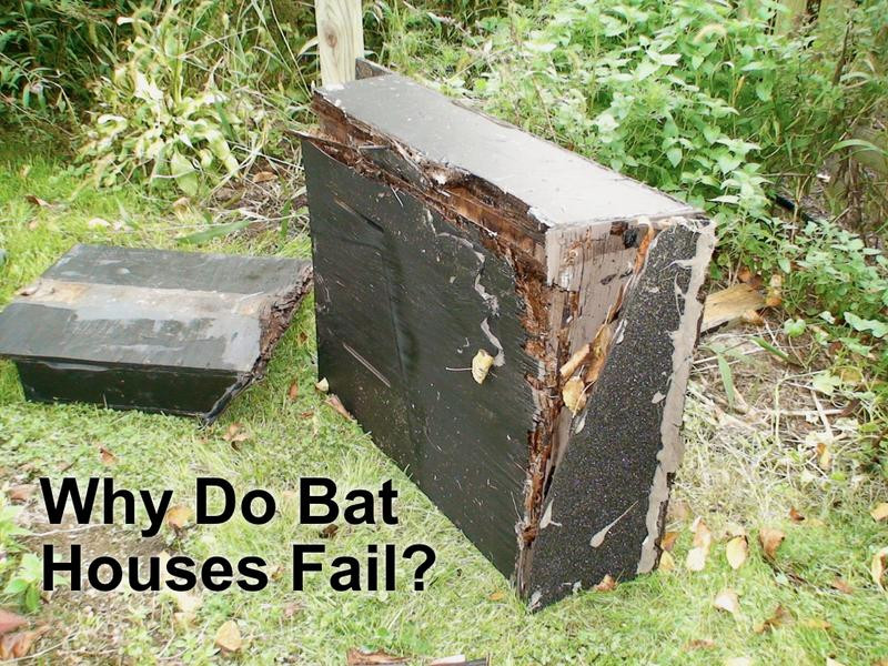 Best ideas about DIY Bat Houses
. Save or Pin Why Do Some Bat Houses Fail – Bat Conservation and Now.