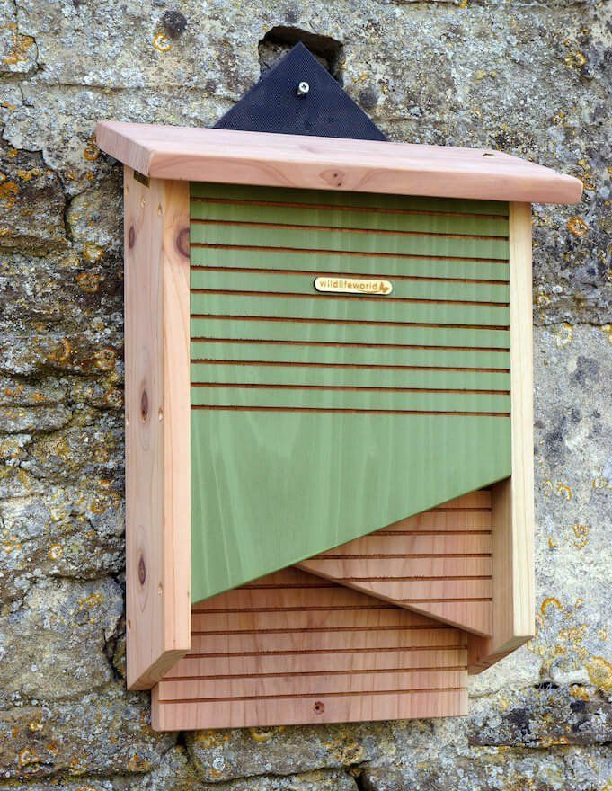 Best ideas about DIY Bat Houses
. Save or Pin Best 25 Bird house plans ideas on Pinterest Now.