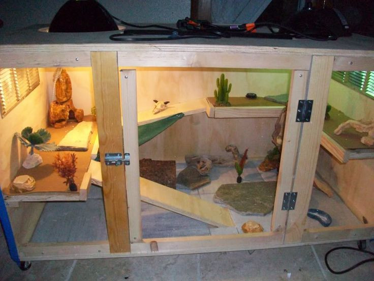 Best ideas about DIY Bearded Dragon Enclosure
. Save or Pin 25 best ideas about Bearded dragon enclosure on Pinterest Now.