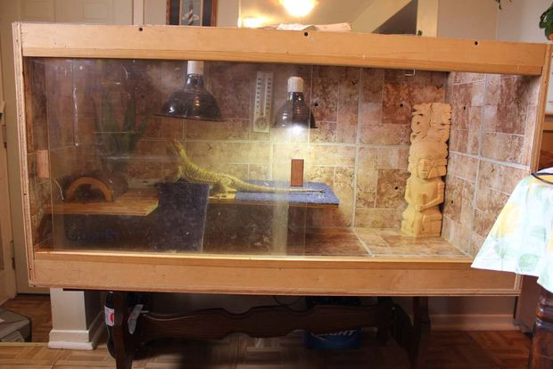 Best ideas about DIY Bearded Dragon Enclosure
. Save or Pin Bearded Dragon Enclosure 5 Steps with Now.