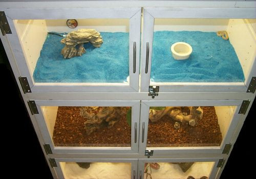 Best ideas about DIY Bearded Dragon Enclosure
. Save or Pin 17 Best images about Reptile Cage Diy Now.