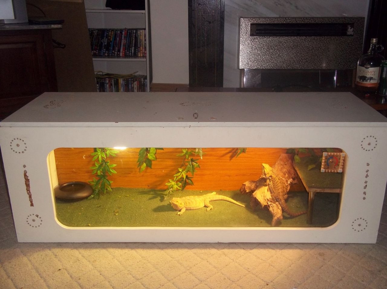 Best ideas about DIY Bearded Dragon Enclosure
. Save or Pin Diy bearded dragon enclosure Now.