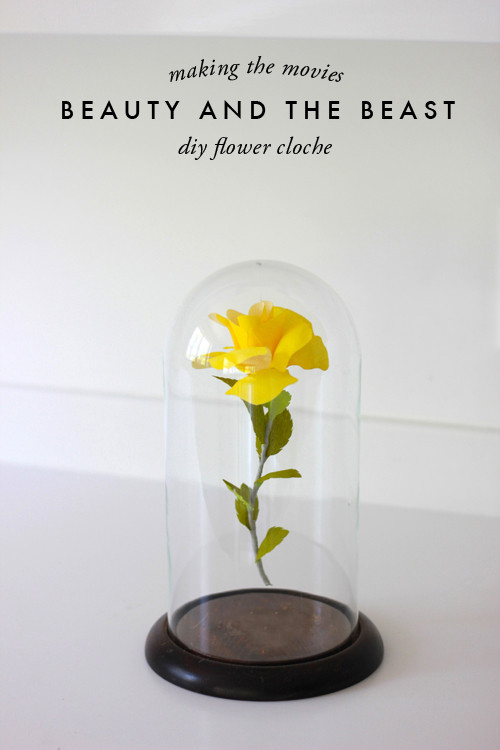 Best ideas about DIY Beauty And The Beast Rose
. Save or Pin School Stuff QE on Pinterest Now.