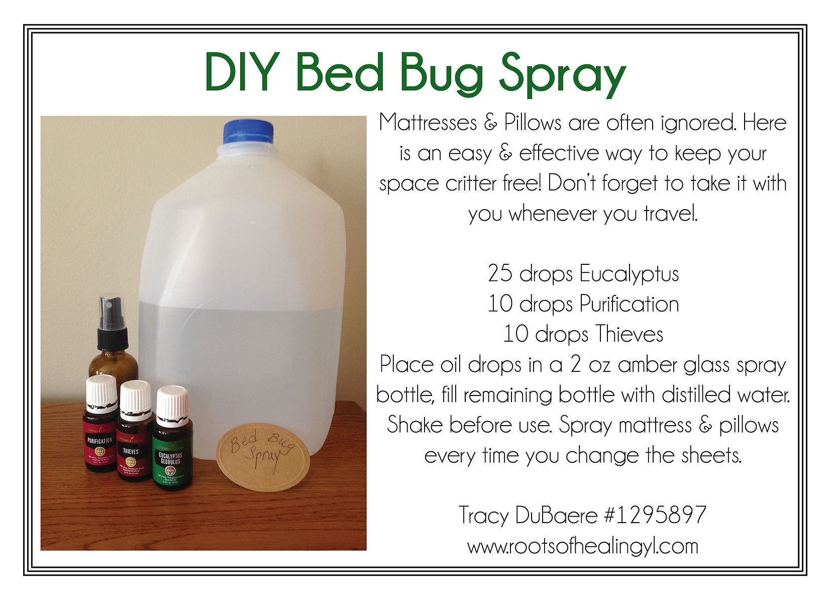 Best ideas about DIY Bed Bug Spray
. Save or Pin DIY Bed Bug Spray with Essential Oils Oils Now.