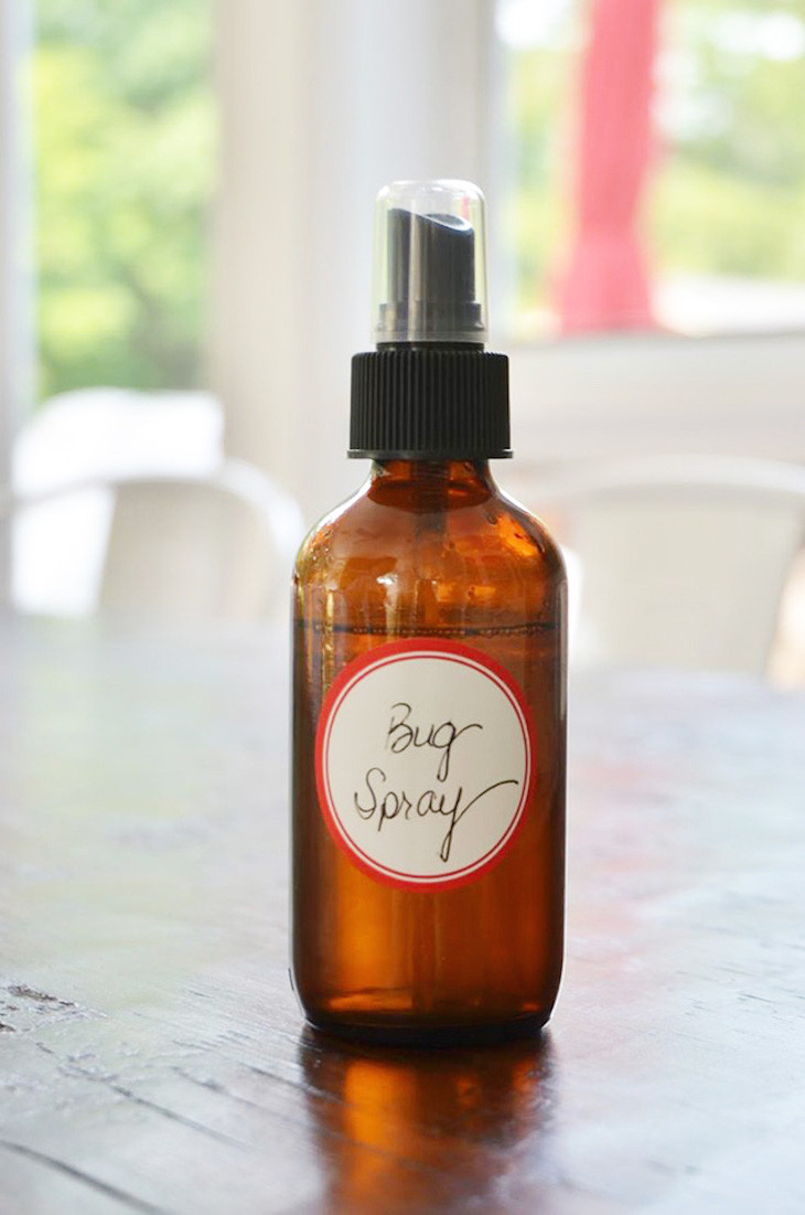Best ideas about DIY Bed Bug Spray
. Save or Pin TOP 10 Homemade Natural Bug Repellents Top Inspired Now.