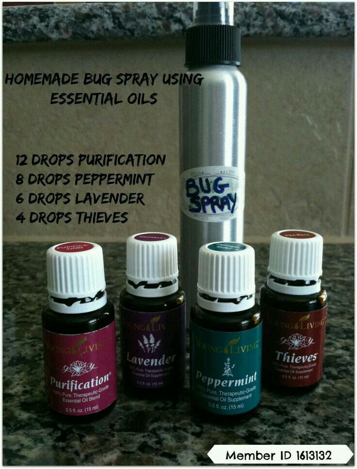 Best ideas about DIY Bed Bug Spray
. Save or Pin 25 best ideas about Bed Bug Spray on Pinterest Now.
