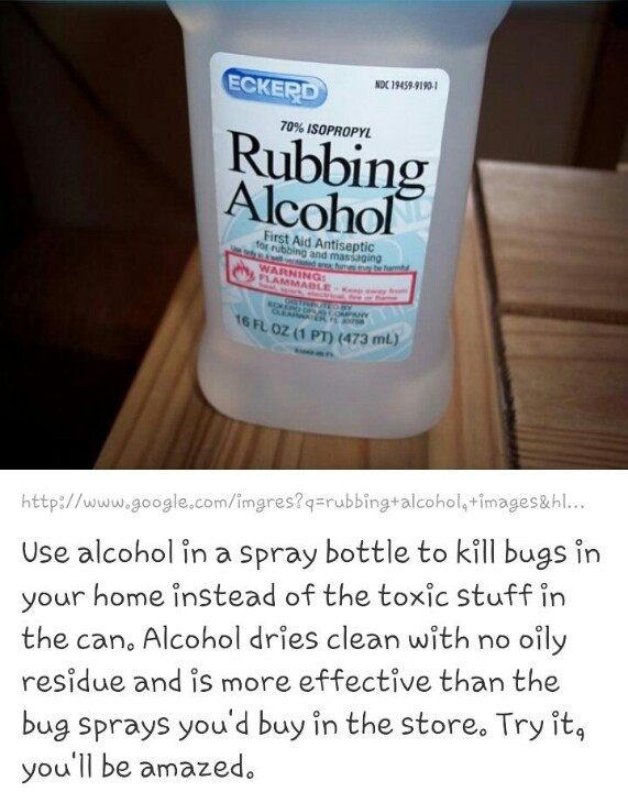 Best ideas about DIY Bed Bug Spray
. Save or Pin 17 Best ideas about Natural Bug Killer on Pinterest Now.