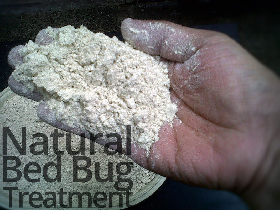 Best ideas about DIY Bed Bug Treatment
. Save or Pin Best 25 Bed bugs treatment ideas on Pinterest Now.