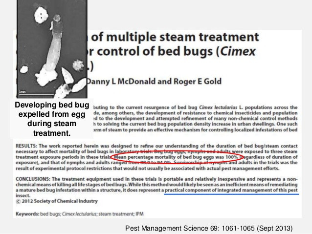 Best ideas about DIY Bed Bug Treatment
. Save or Pin DIY bed bug treatment options Now.
