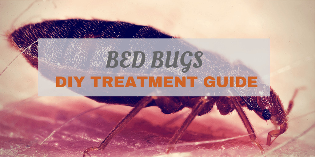 Best ideas about DIY Bed Bugs
. Save or Pin FightBugs Do It Yourself Pest Control Tips Tricks Now.