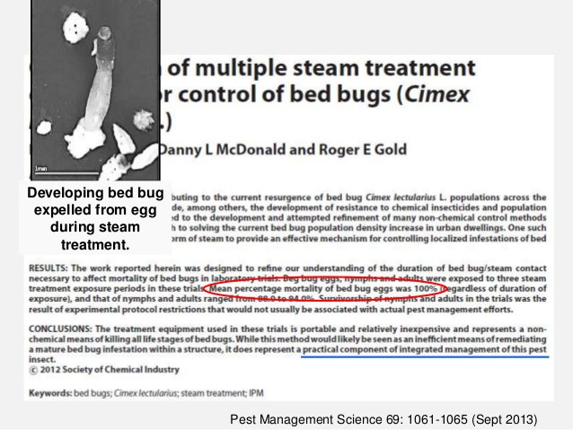 Best ideas about DIY Bed Bugs Treatment
. Save or Pin DIY bed bug treatment options Now.