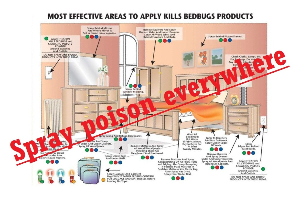 Best ideas about DIY Bed Bugs Treatment
. Save or Pin Places Bed Bugs hide bed bug treatment Now.