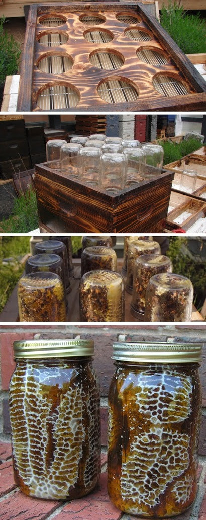 Best ideas about DIY Bee Hive
. Save or Pin DIY beehive in a jar Now.
