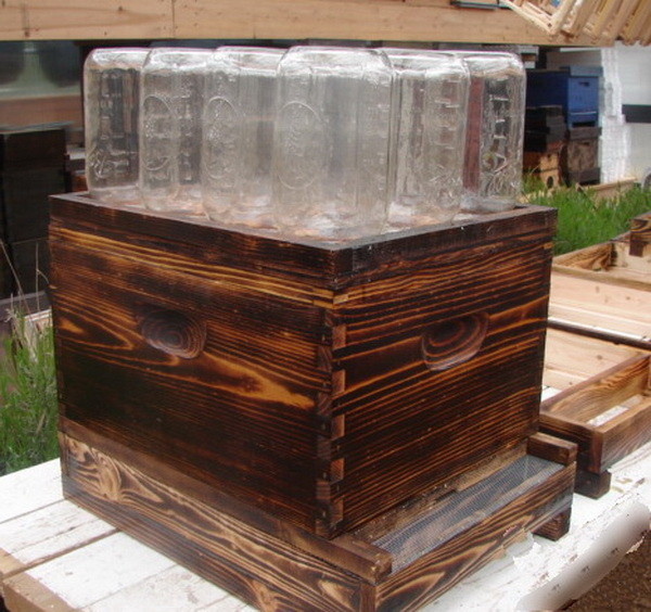 Best ideas about DIY Bee Hive
. Save or Pin How To Easily Make A Beehive In A Jar DIY Project Now.