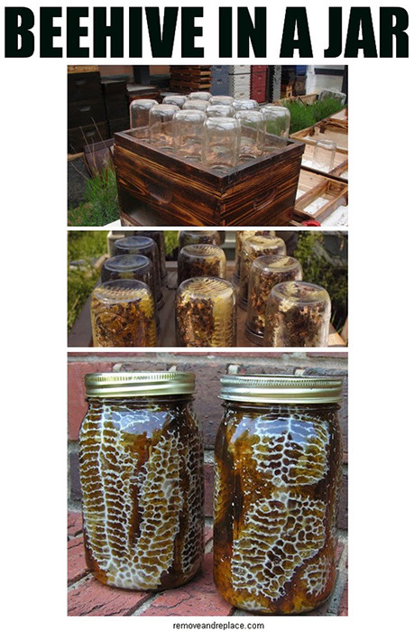 Best ideas about DIY Bee Hive
. Save or Pin Awesome DIY Mason Jar Beehive f Grid World Now.