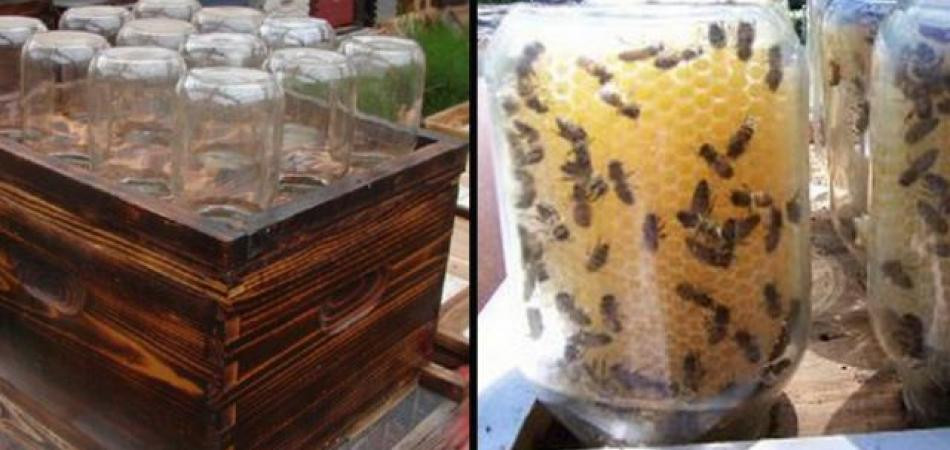 Best ideas about DIY Bee Hive
. Save or Pin Man Invented DIY Beehive To Save The Bees Now.