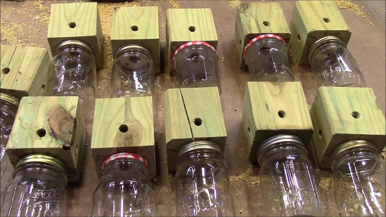 Best ideas about DIY Bee Trap
. Save or Pin Homemade Carpenter Bee Trap Now.