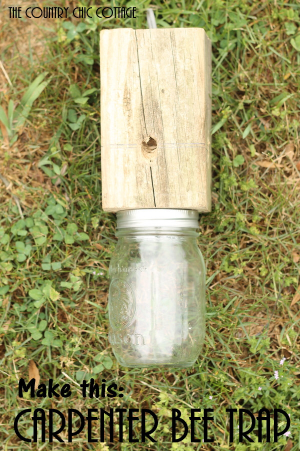 Best ideas about DIY Bee Trap
. Save or Pin Make a Carpenter Bee Trap The Country Chic Cottage Now.