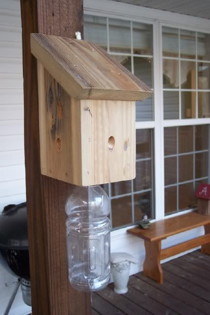 Best ideas about DIY Bee Trap
. Save or Pin 289 best ideas about DIY Bug Traps [FREE] on Pinterest Now.