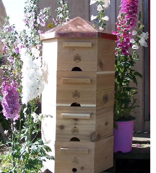 Best ideas about DIY Beehive Plans
. Save or Pin Best Bee Hive Plans Now.