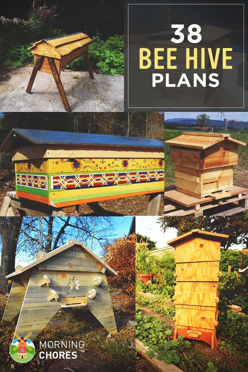 Best ideas about DIY Beehive Plans
. Save or Pin 38 DIY Bee Hive Plans with Step by Step Tutorials Free Now.