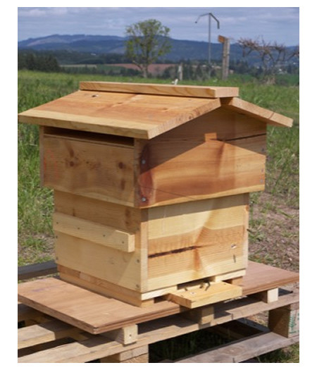 Best ideas about DIY Beehive Plans
. Save or Pin Wopa Diy beehive plans Now.