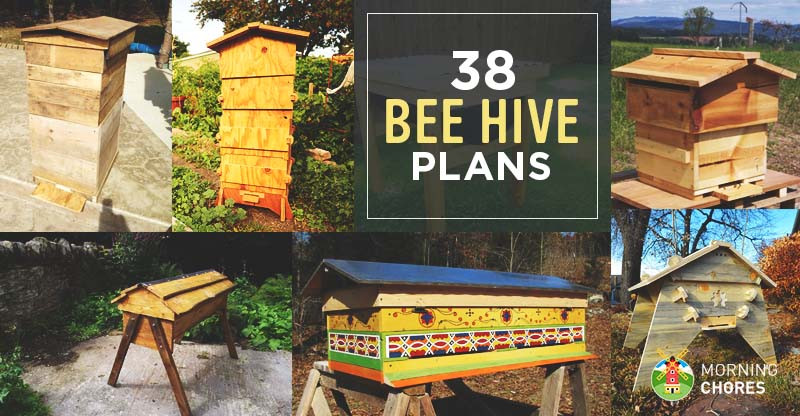 Best ideas about DIY Beehive Plans
. Save or Pin 38 DIY Bee Hive Plans with Step by Step Tutorials Free Now.