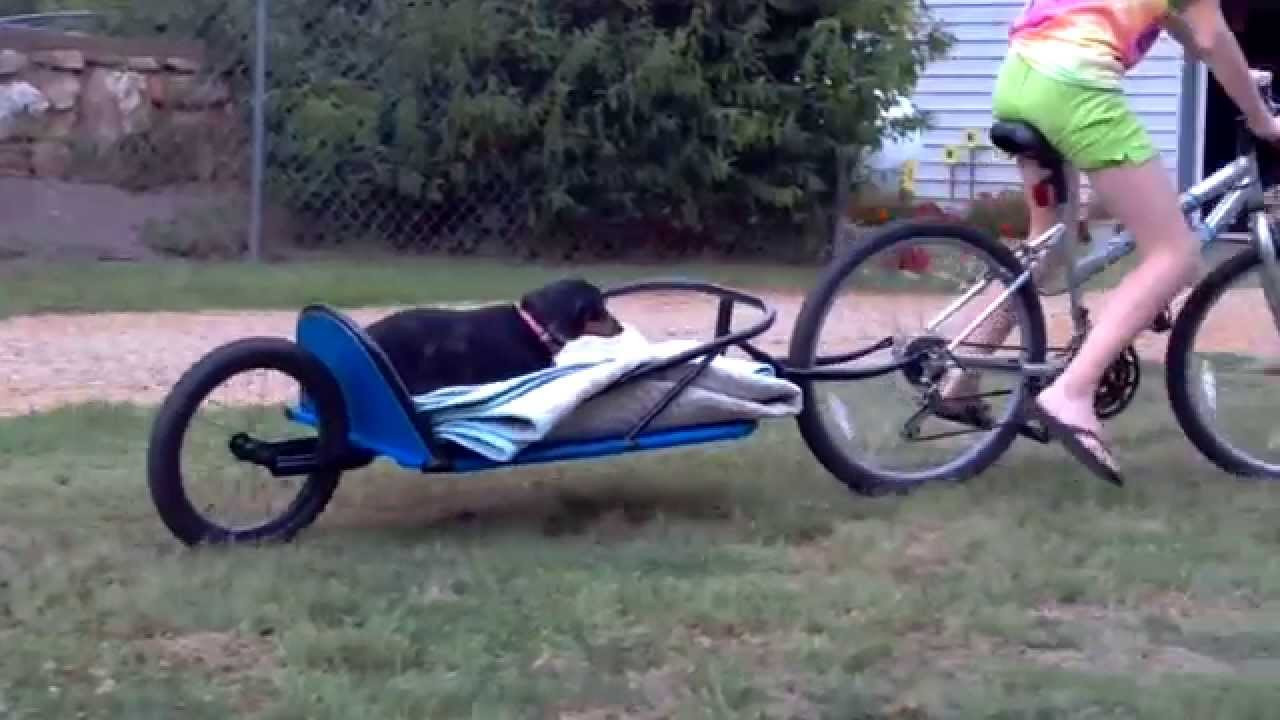 Best ideas about DIY Bike Trailer
. Save or Pin DIY Bike Trailer part 1 Now.