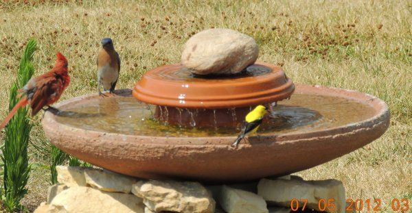 Best ideas about DIY Bird Bath Fountain
. Save or Pin Homemade Bird Baths Now.
