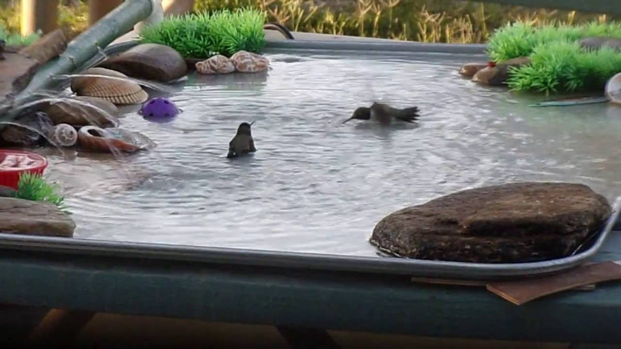 Best ideas about DIY Bird Bath Fountain
. Save or Pin Hummingbirds Play in Homemade Bird Bath Now.