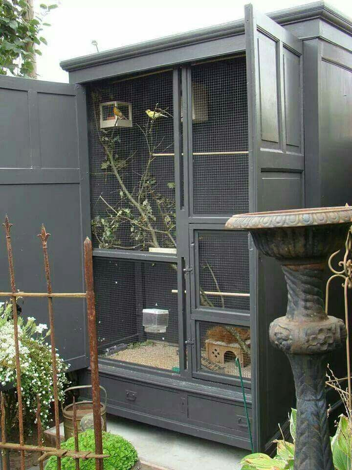 Best ideas about DIY Bird Cage
. Save or Pin 25 best ideas about Bird Aviary on Pinterest Now.