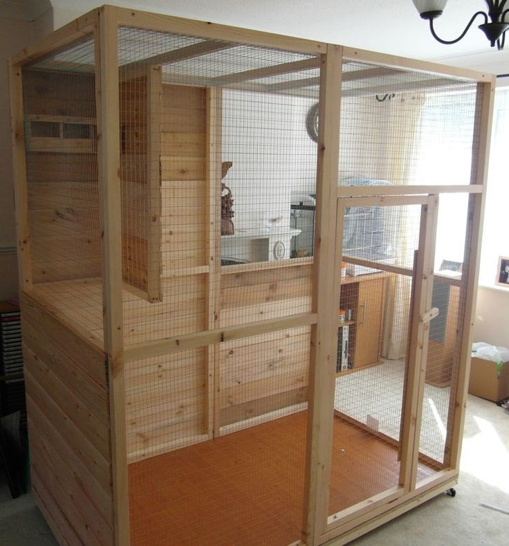 Best ideas about DIY Bird Cage Plans
. Save or Pin 10 best images about Indoor aviaries on Pinterest Now.