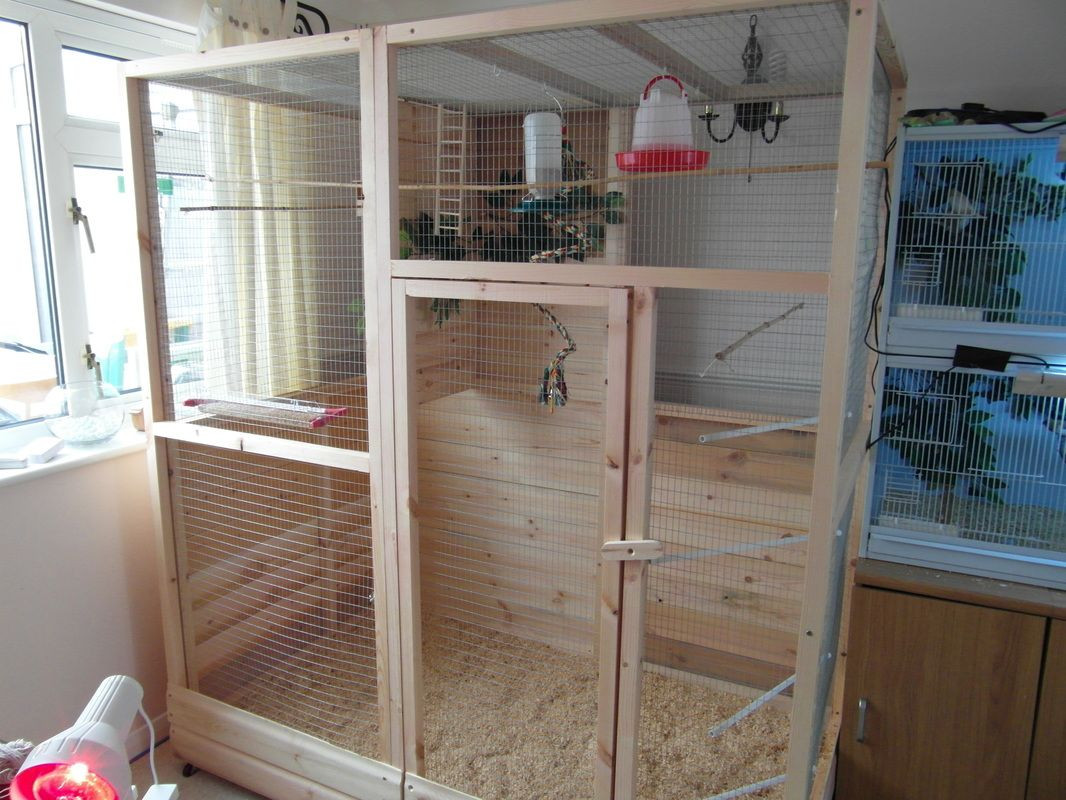 Best ideas about DIY Bird Cage Plans
. Save or Pin how to build indoor finch aviary Yahoo Image Search Now.