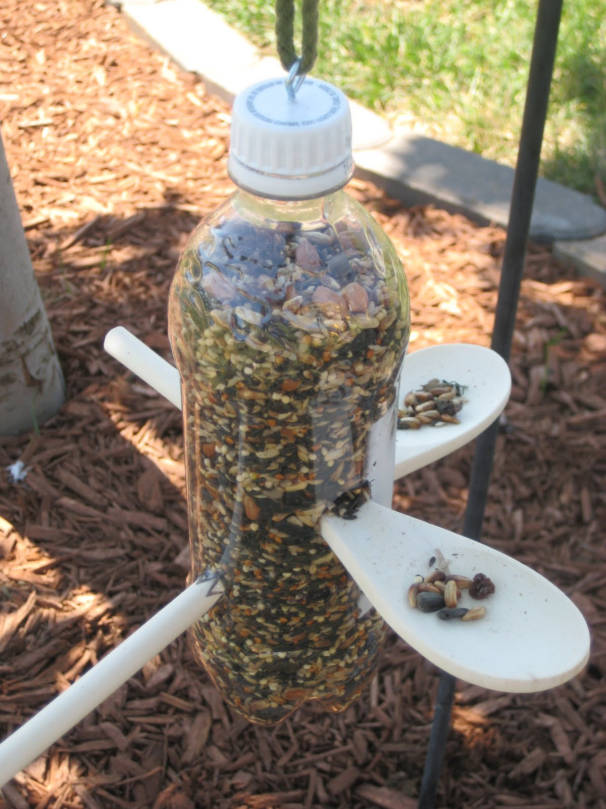 Best ideas about DIY Bird Feeder
. Save or Pin Relentlessly Fun Deceptively Educational Bird Feeder and Now.