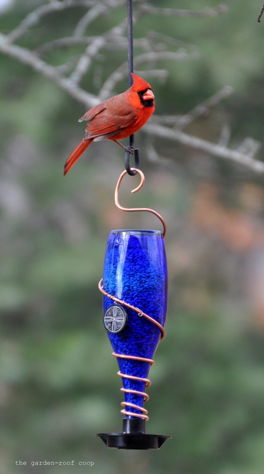 Best ideas about DIY Bird Feeders
. Save or Pin the garden roof coop DIY Glass Bottle Bird Feeders Now.