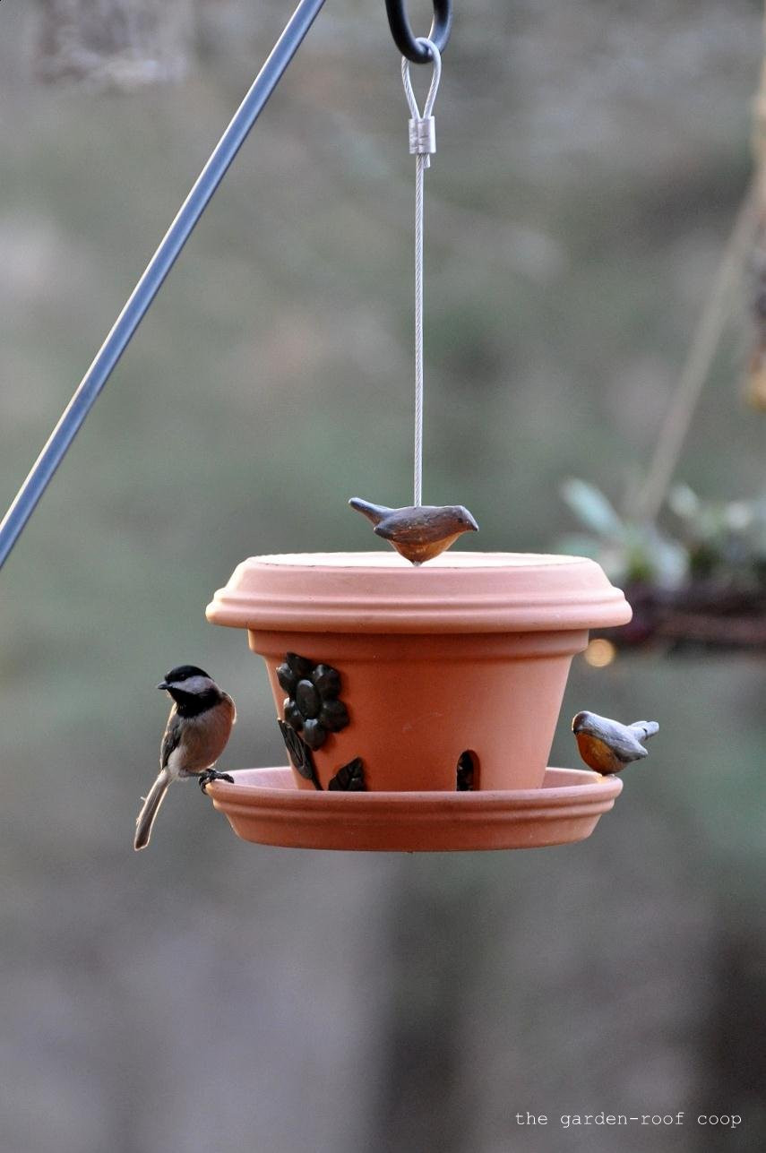 Best ideas about DIY Bird Feeders
. Save or Pin the garden roof coop DIY Flowerpot Bird Feeder Now.