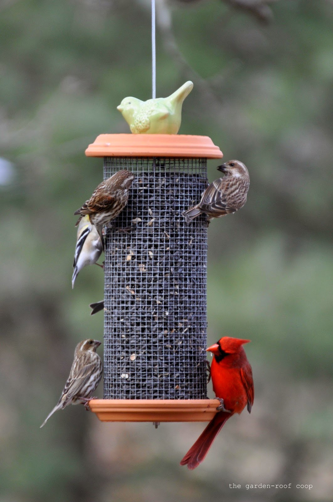 Best ideas about DIY Bird Feeders
. Save or Pin the garden roof coop DIY Sunflower Tower Bird Feeder Now.