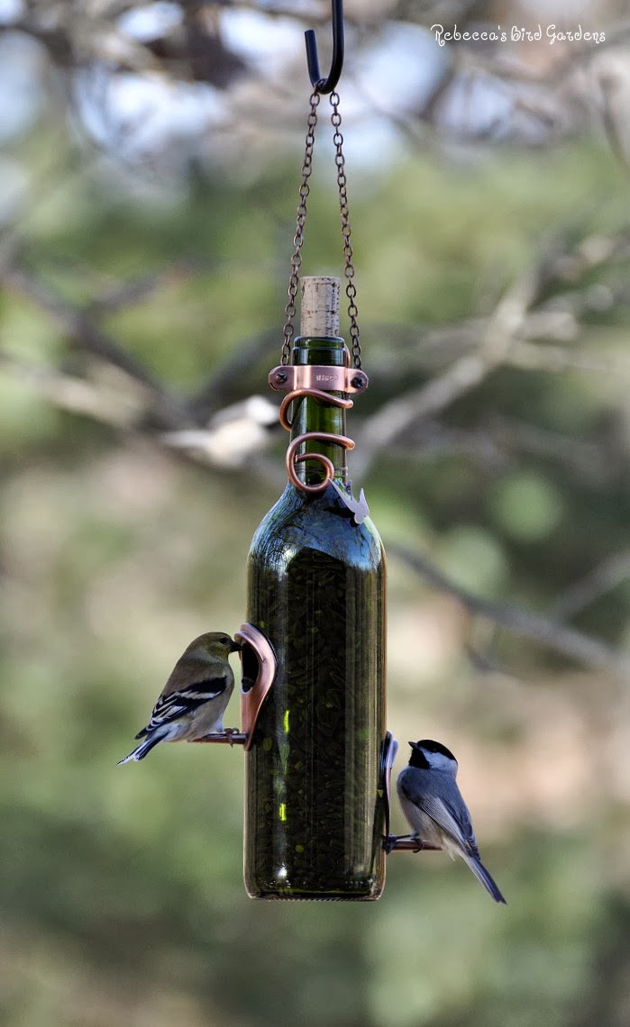 Best ideas about DIY Bird Feeders
. Save or Pin the garden roof coop DIY Wine Bottle Bird Feeders Now.