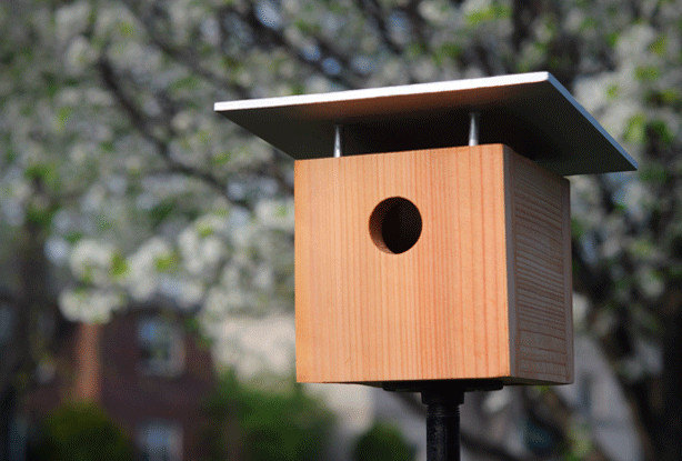 Best ideas about DIY Bird House
. Save or Pin 5 Totally Awesome Stylish Modern Birdhouses Now.