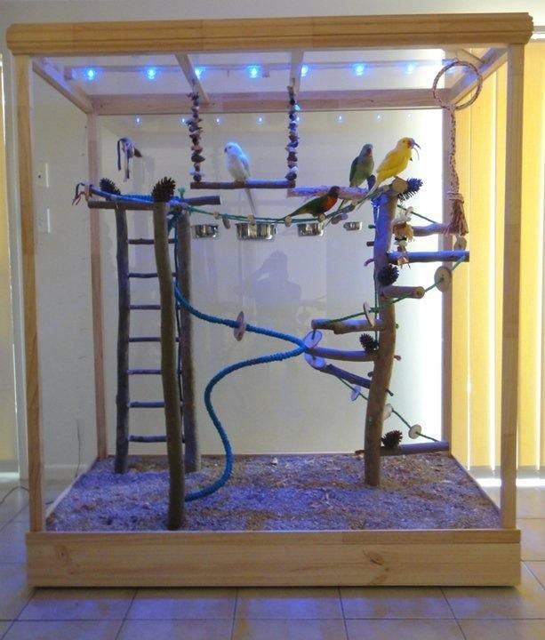 Best ideas about DIY Bird Stand
. Save or Pin 547 best Bird Parrot DIY toys play stands and aviaries Now.