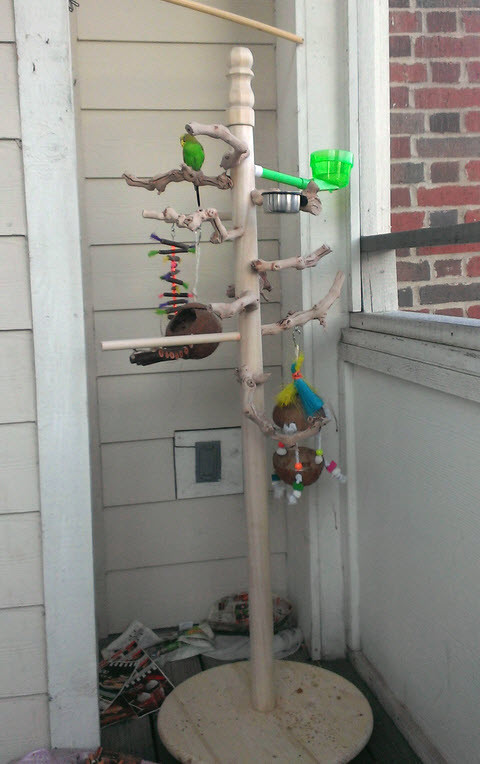 Best ideas about DIY Bird Stand
. Save or Pin DIY Wood Gym Stand petdiys Now.