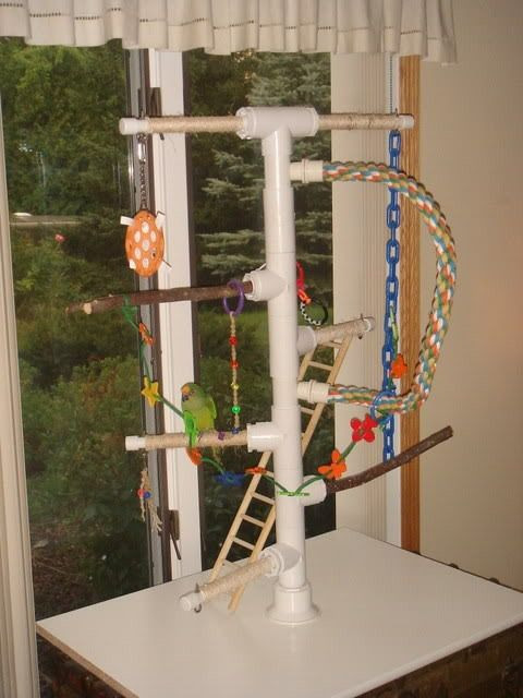Best ideas about DIY Bird Stand
. Save or Pin PVC Playgyms Now.