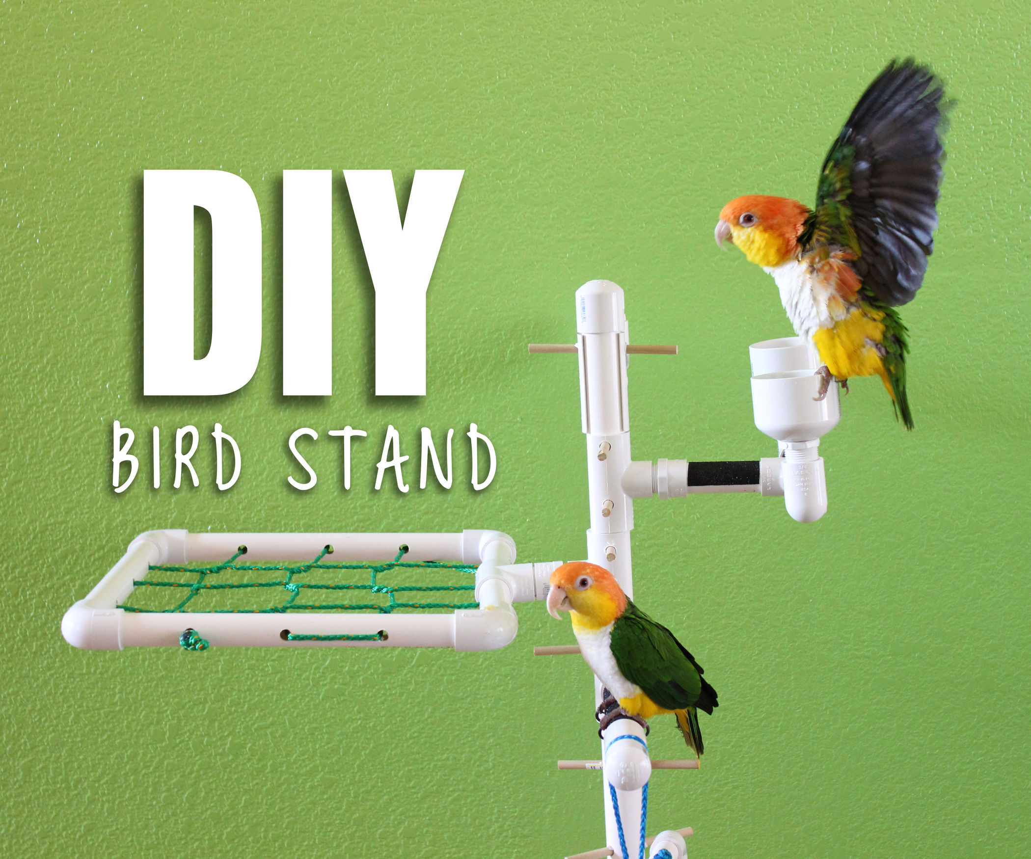 Best ideas about DIY Bird Stand
. Save or Pin DIY BIRD STAND Now.